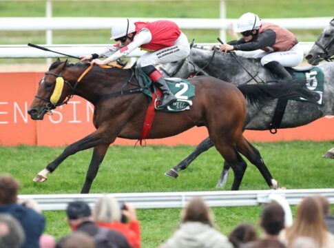 Lord Zaster letzter Sieger am Winterfavorit-Renntag Lord Zaster siegt unter Sean Byrne