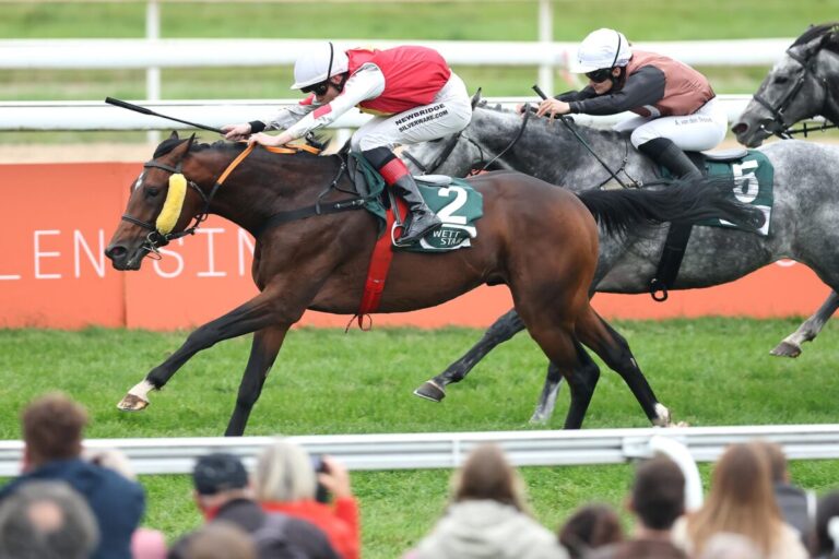 Lord Zaster letzter Sieger am Winterfavorit-Renntag