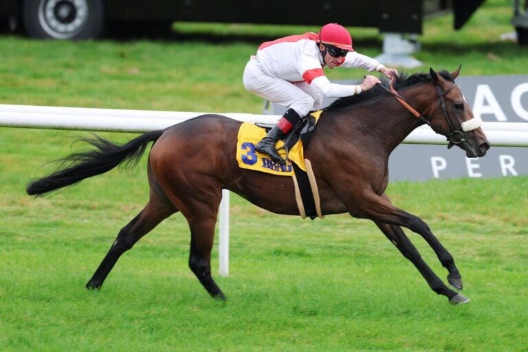 Loucas siegt unter Andrasch Starke im Ferdinand Leisten Memorial