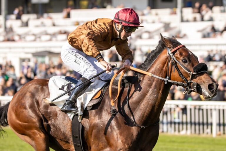 Weiße Weste hält: Love Me Tender liebt auch Hoppegarten