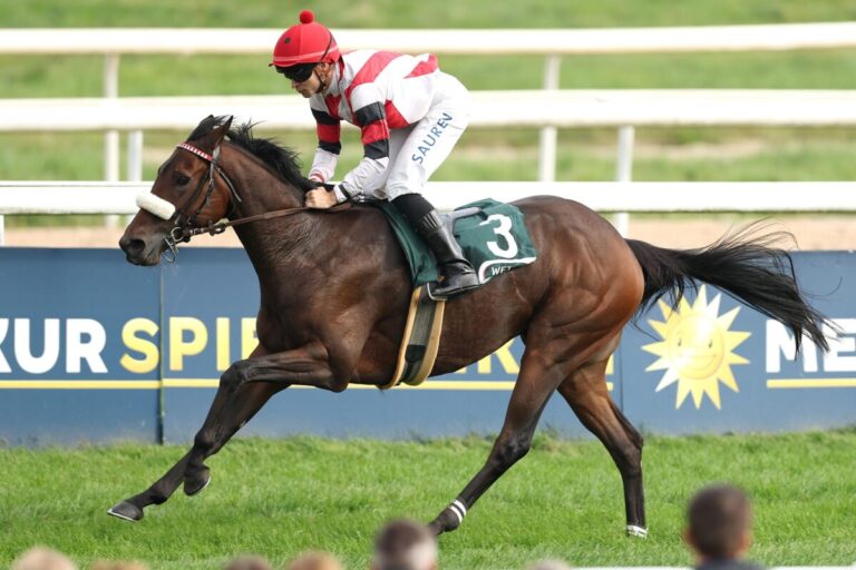 Lynario auf seinem Boden ganz leicht voraus