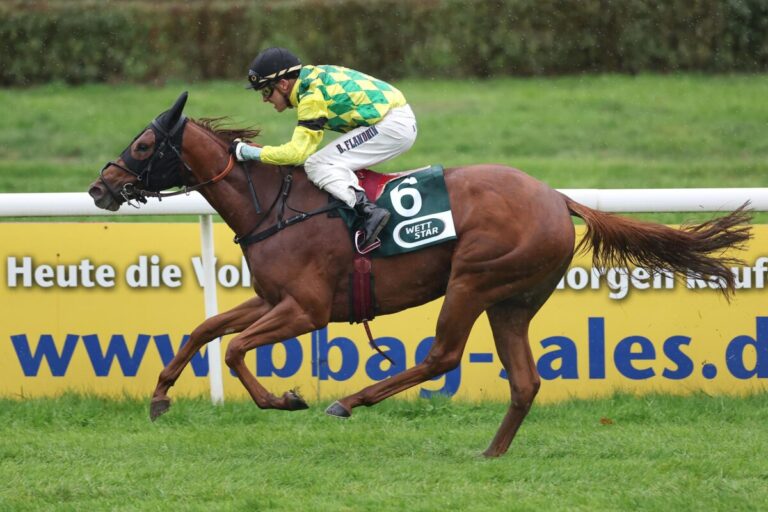 Nach Stallwechsel erfolgreich: Scaletta siegt beim ersten Start für Geisler