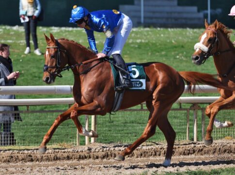 Diamond Spirit lässt den Preis bei der BBAG erstmals ein wenig klettern Diamond Spirit