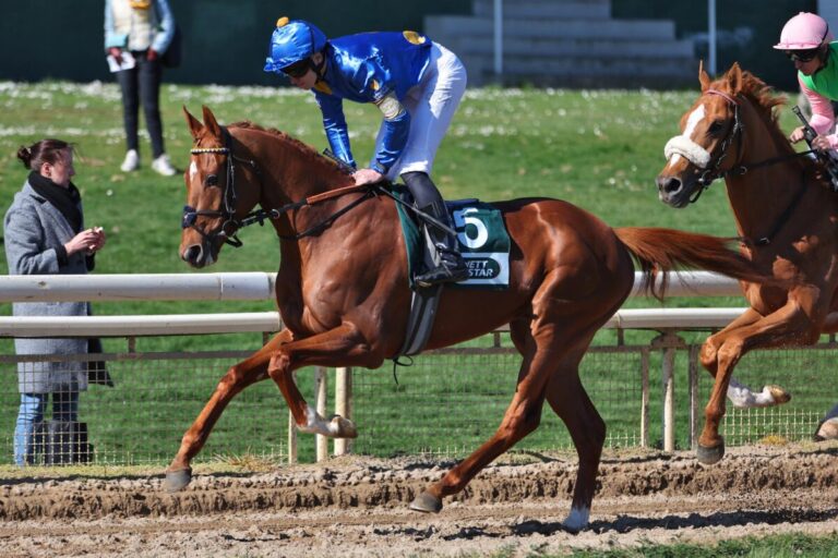 Diamond Spirit lässt den Preis bei der BBAG erstmals ein wenig klettern