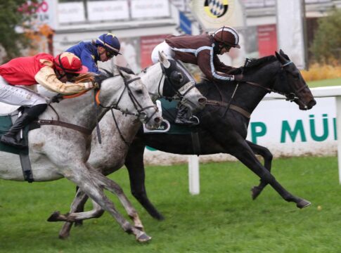 Löwe mit zweitem Zauberritt – Otjiwarongo sorgt für V4-Überraschung Otjiwarongo siegt unter Ines Lwe