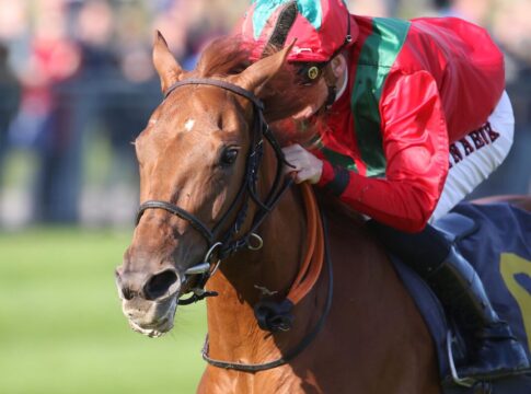 Margies Music siegt unter Filip Minarik