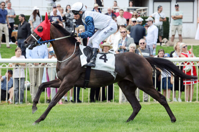 Hoppegarten, Naughty Peter mit Adrie de Vries beim Aufgalopp