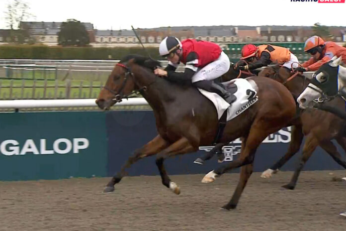 Newkidontheblock Foto: Screenshot (Equidia)