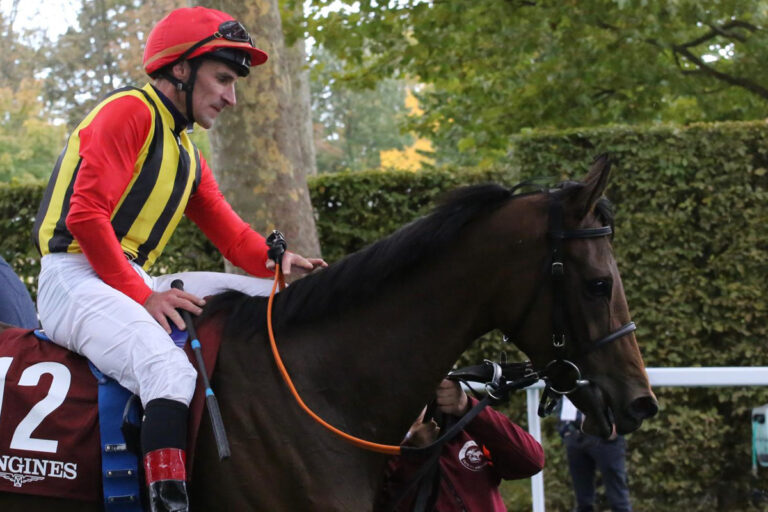 Nicoreni in Paris Foto: Hemke