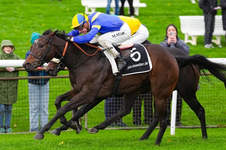 Hannover-Listensiegerin war beste Zweijährige in Polen