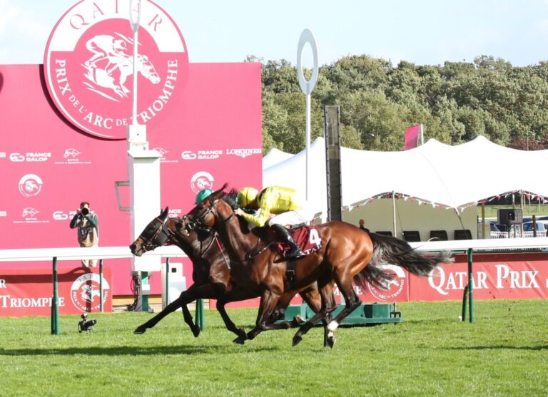 Aga Khan-Farben vorne – Ridari gewinnt Prix Daniel Wildenstein, jetzt Arc Sale?