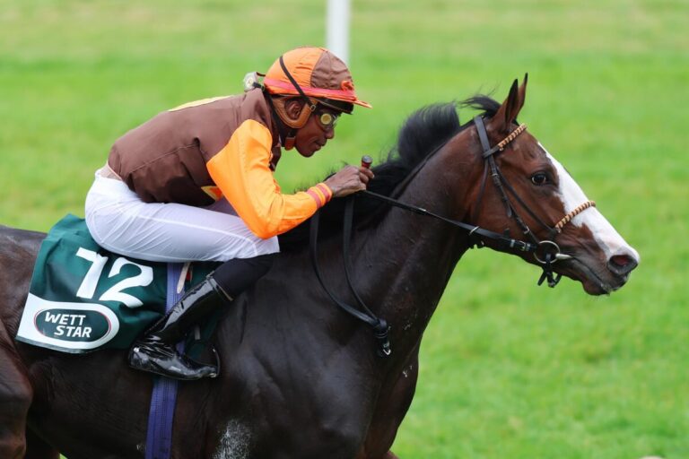 Wöhler punktet – Darbovens Royal Ito imponiert trotz „Auffahrunfall“