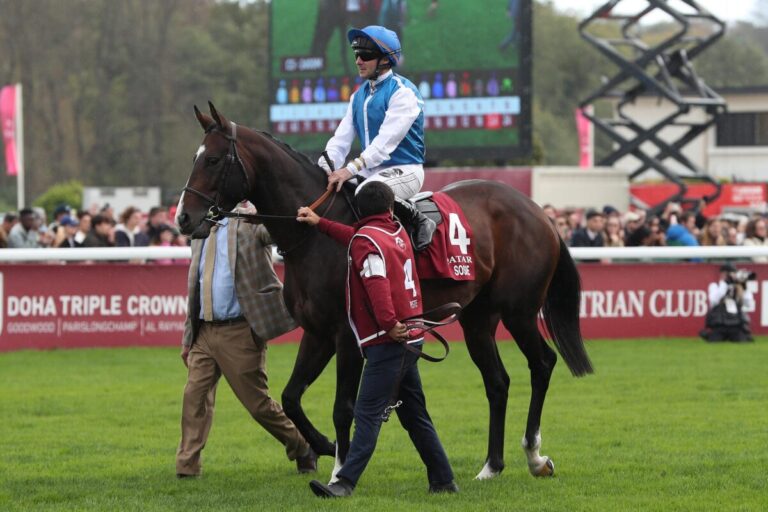 Fabre gibt Pläne für den Arc-Dritten Sosie bekannt