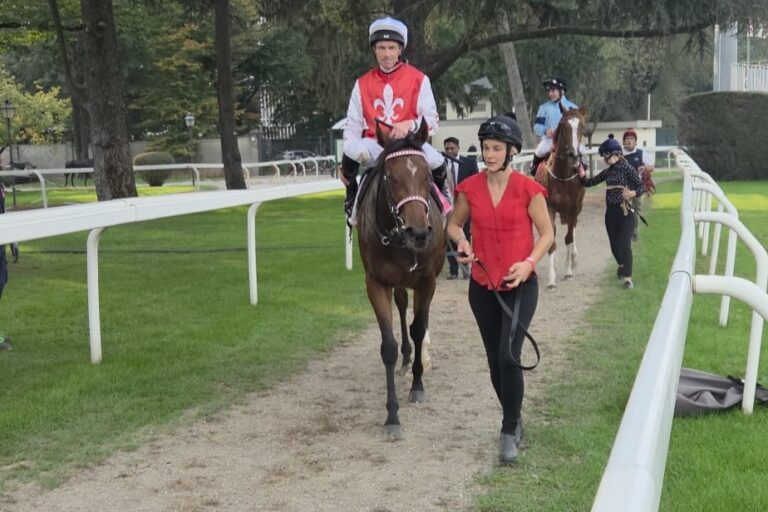 Listenplatzierung für Wöhlers Sadora