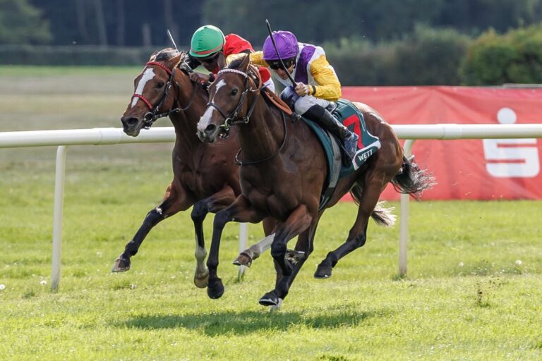 Kampf bis zur Linie im Einheits-Preis: Schiergens Santagada schlägt Delgardo