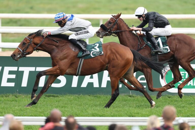 Switsch-Bruder Simply Best auf Anhieb erfolgreich