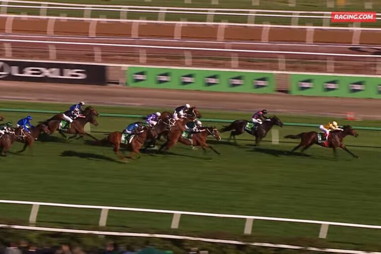 Bitteres Aus nach Arzt-Check: Favorit Sir Delius raus aus Melbourne Cup