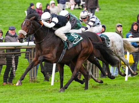 Son Of England siegt unter David Liska