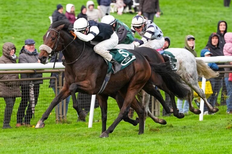 Zum vierten Mal Box 1: Lokalmatador Son of England in Viererwette vorne