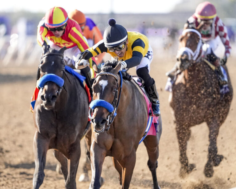 Super Corredora super im Juvenile Fillies