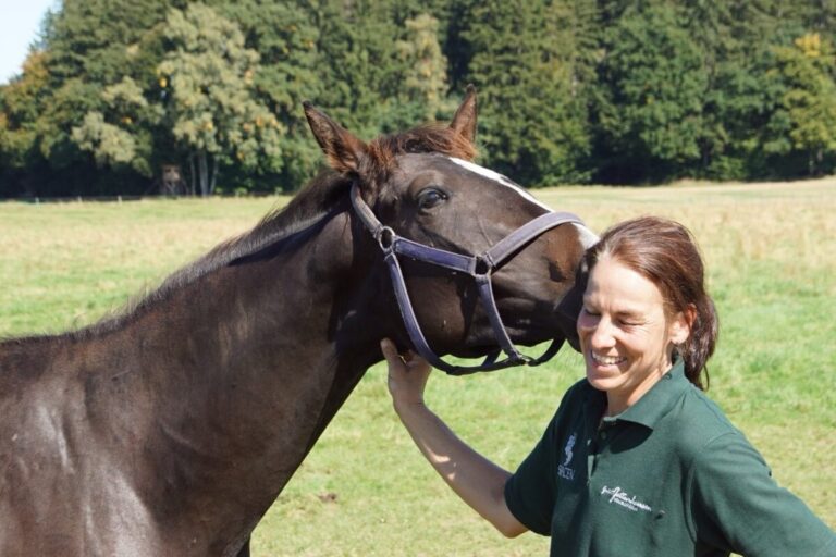 Erfolgreicher Tag der Gestüte 2025 – 13 Vollblutgestüte waren dabei