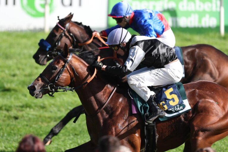 Trotz Ausflug auf die Sandbahn: Turlow mit Wolff im Auktionsrennen