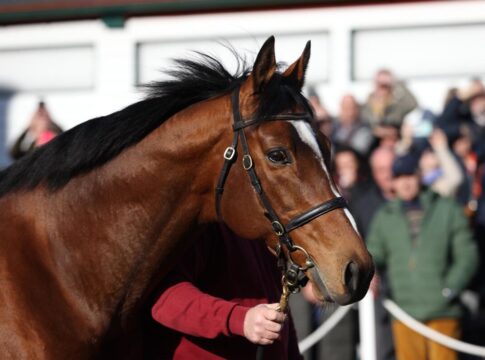 Züchtertreff im Gestüt Röttgen: Japan