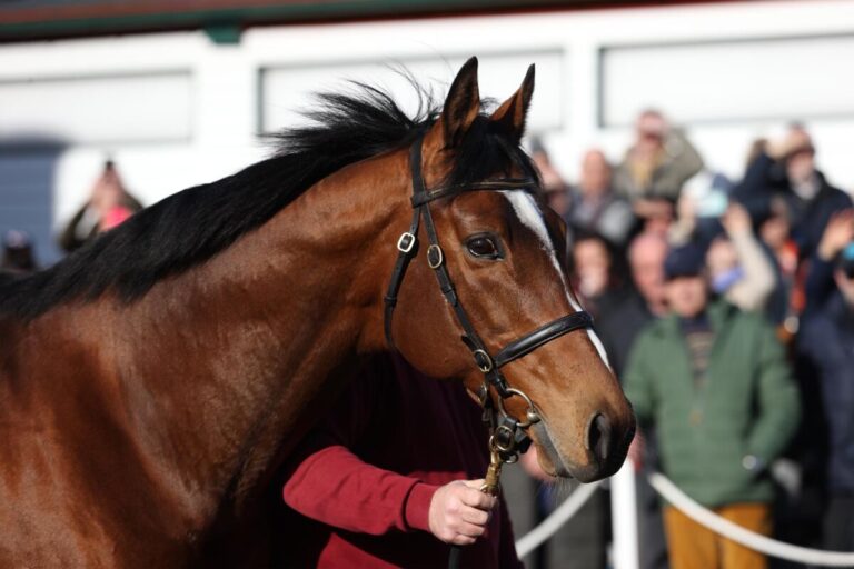 Zum Ende des Hauptkatalogs ging der Preis nochmals nach oben