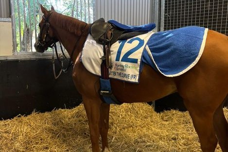 Flatten the Curve in Australien Flatten the Curve in Australien