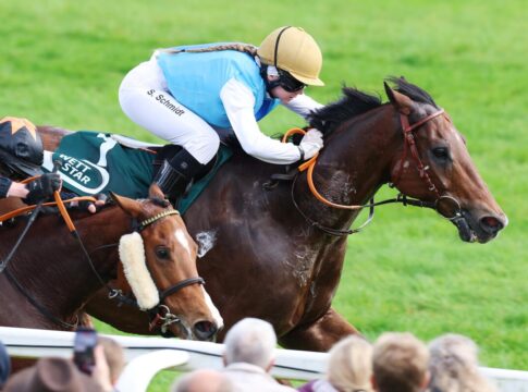 Badener 1000 Meter-Sprint: Belgier Koutsounakos der Schnellste Koutsounakos siegt