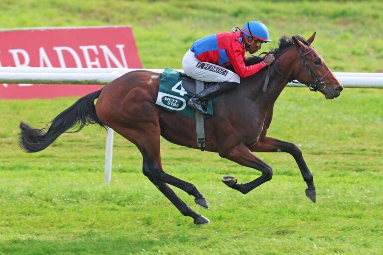 Unerwarteter Sieg? – Youngster Mystic Charly überrascht zumindest Trainer