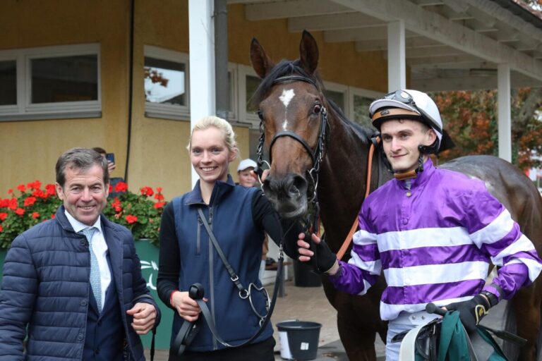 Kaufen – Laufen – Siegen – Northern Eclipse gibt gleich was zurück