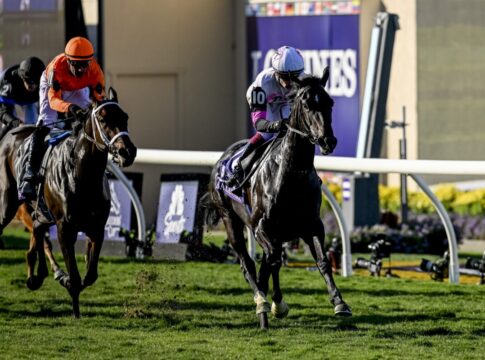 Eropäische Zweierwette im Juvenile Fillies Turf Eropäische Zweierwette im Juvenile Fillies Turf