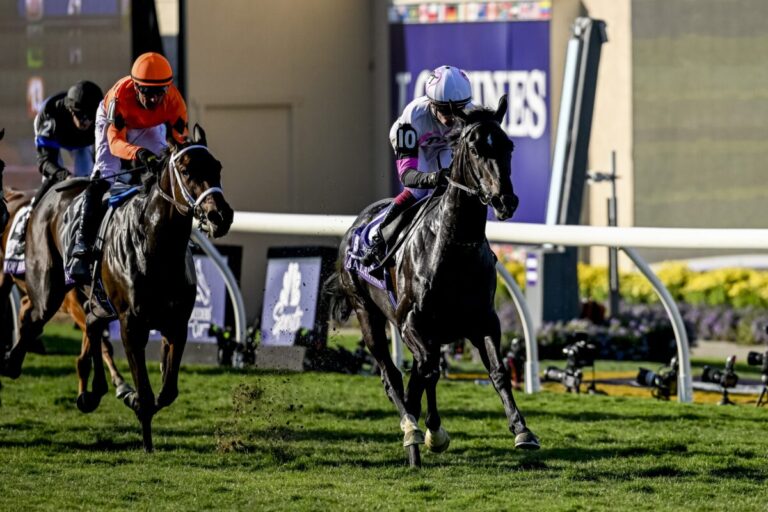 Eropäische Zweierwette im Juvenile Fillies Turf