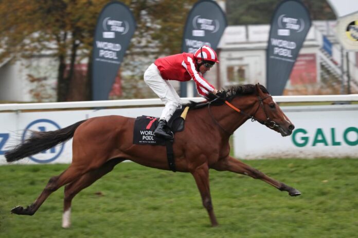 Bay City Roller siegt unter Adrie de Vries im Großen Allianz Preis von Bayern Bay City Roller siegt unter Adrie de Vries im Großen Allianz Preis von Bayern