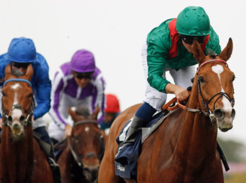 Cartier Awards: Calandagan ist Europas Champion! Calandagan ©Racingfotos.com