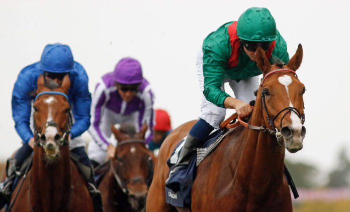 Calandagan ©Racingfotos.com Calandagan ©Racingfotos.com