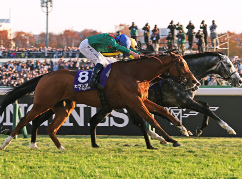 Calandagan gewinnt den Japan Cup Foto: Japan Racing Association