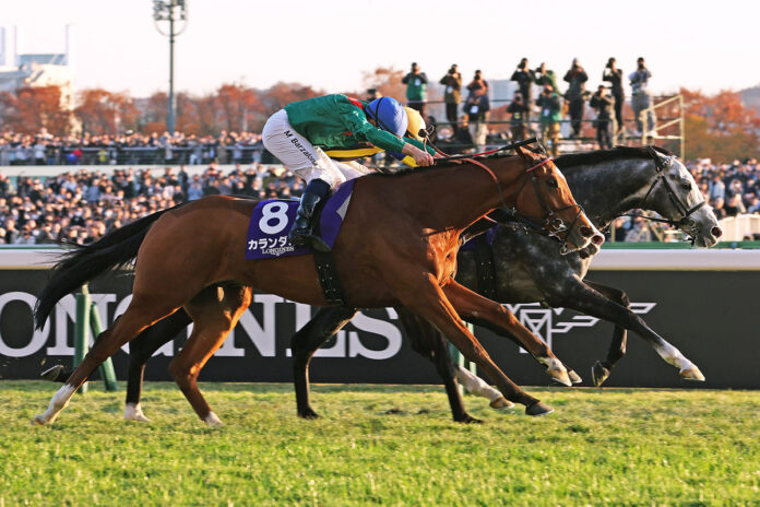 Calandagan gewinnt den Japan Cup Foto: Japan Racing Association