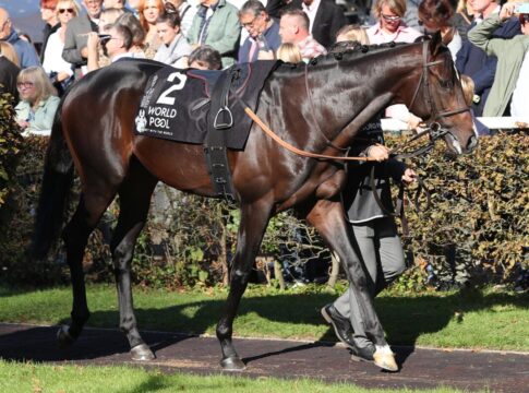 Columbus mit Wild Card zur Arqana Auktion Columbus