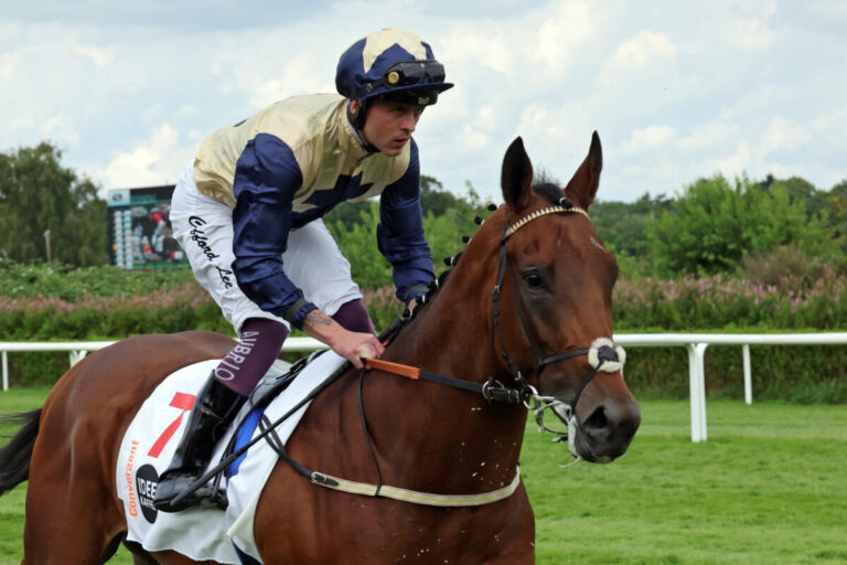 Trendbarometer der Leser: Convergent vor Lazio und Junko