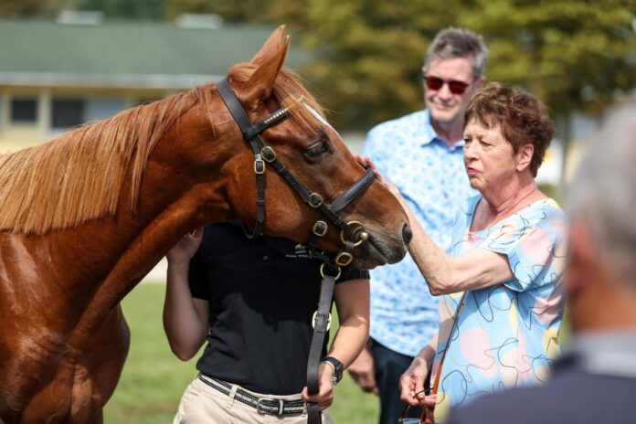 Daytona bei der BBAG im Jahr 2024