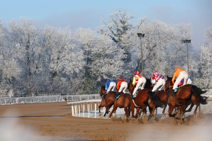 Malerische Winterkulisse in Dortmund