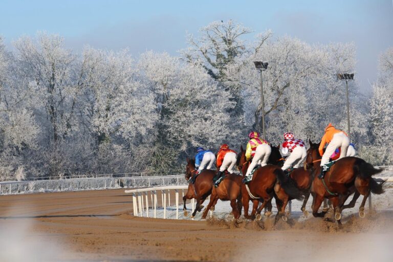 Mehr als 1000 Kilometer Anreise: Am Sonntag zwei Ungarn in Wambel