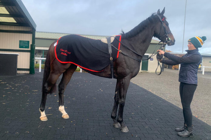 Faith of Empires Foto: privat Faith of Empires Foto: privat