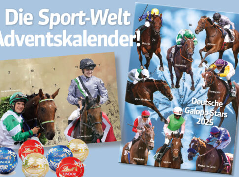 GOL_Adventskalender_2025_1200x800