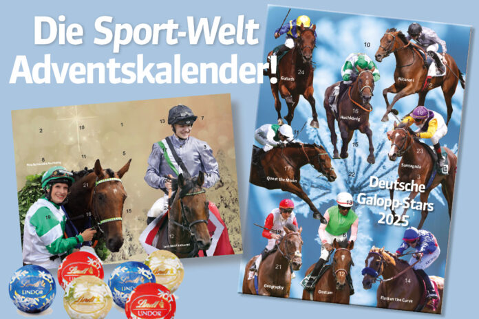 GOL_Adventskalender_2025_1200x800