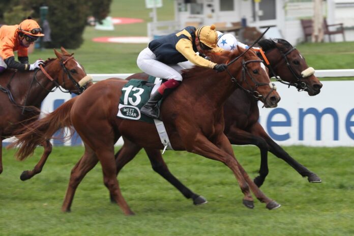 Garfield siegt unter Michaela Malacova Garfield siegt unter Michaela Malacova