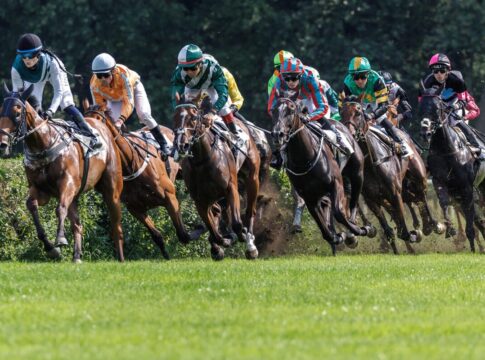 4 Azubis bestehen - MacRedmond nach Irland - Ricupa runter auf 1 Kilo Galopp