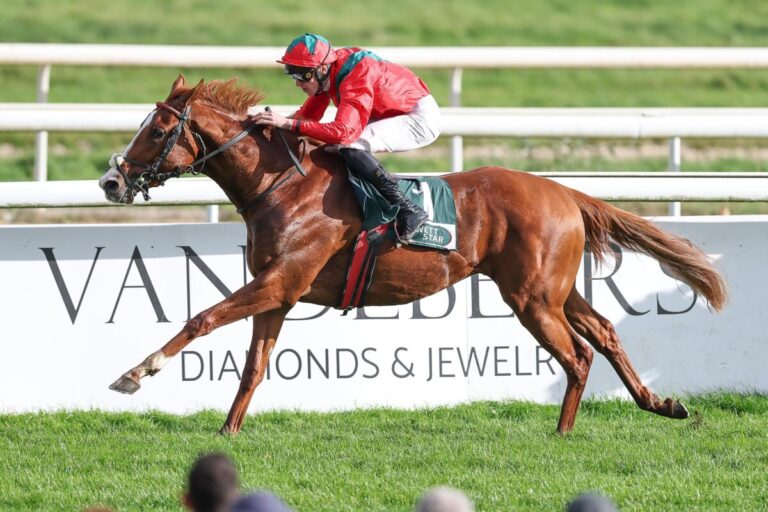 Pedigree verpflichtet: Wild River im Ammerland-Dress locker voraus